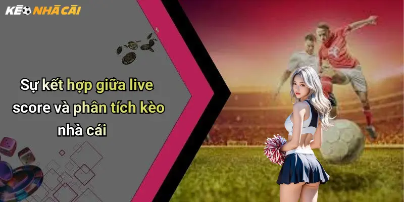 Sự kết hợp giữa live score và phân tích kèo nhà cái
