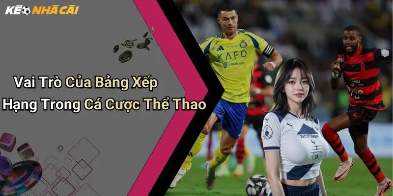 Vai Trò Của Bảng Xếp Hạng Trong Cá Cược Thể Thao