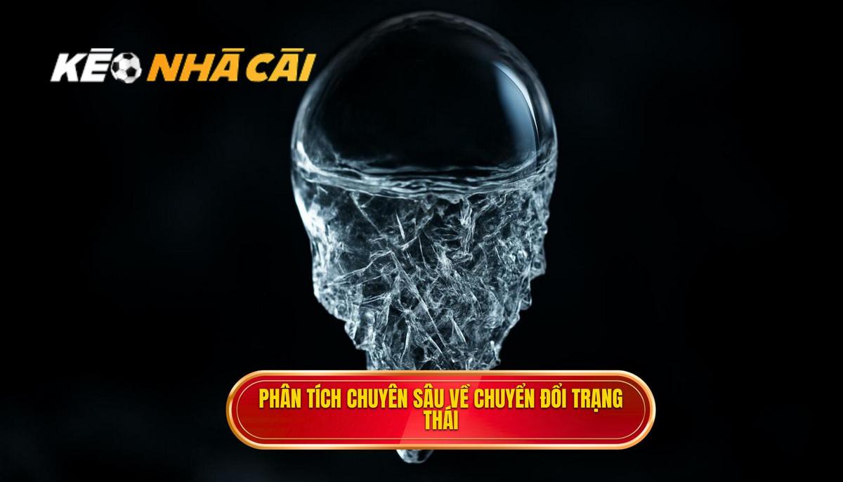 Phân Tích Chuyên Sâu Các Pha Chuyển Đổi Trạng Thái