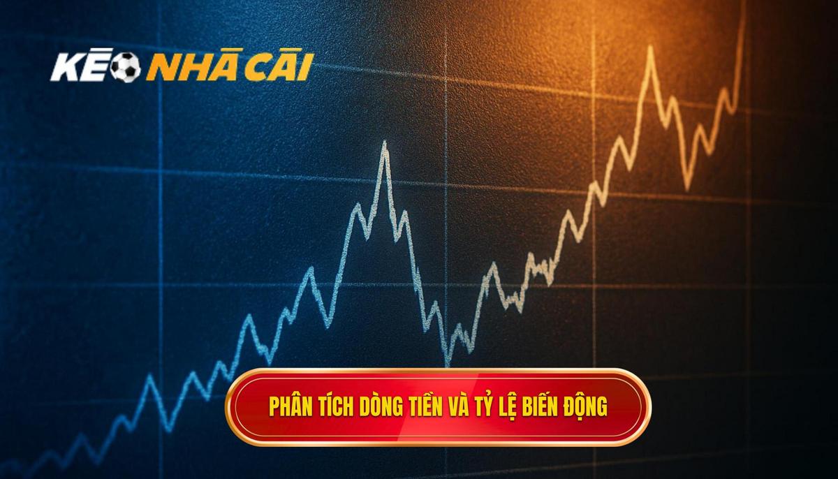 Phân Tích Chuyên Sâu Dòng Tiền Và Biến Động Tỷ Lệ