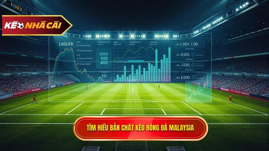 Kèo bóng đá Malaysia là gì? Bản chất của tỷ lệ Mã Lai