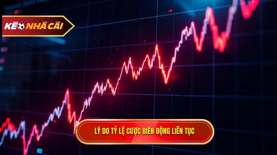 Tại sao tỷ lệ cược đêm nay lại biến động liên tục?