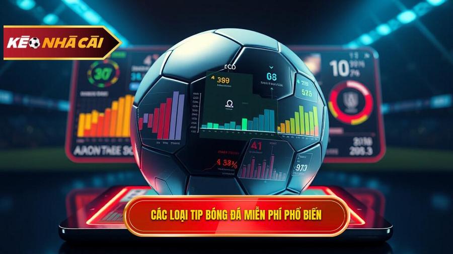 Phân loại các loại Tip bóng đá miễn phí phổ biến hiện nay